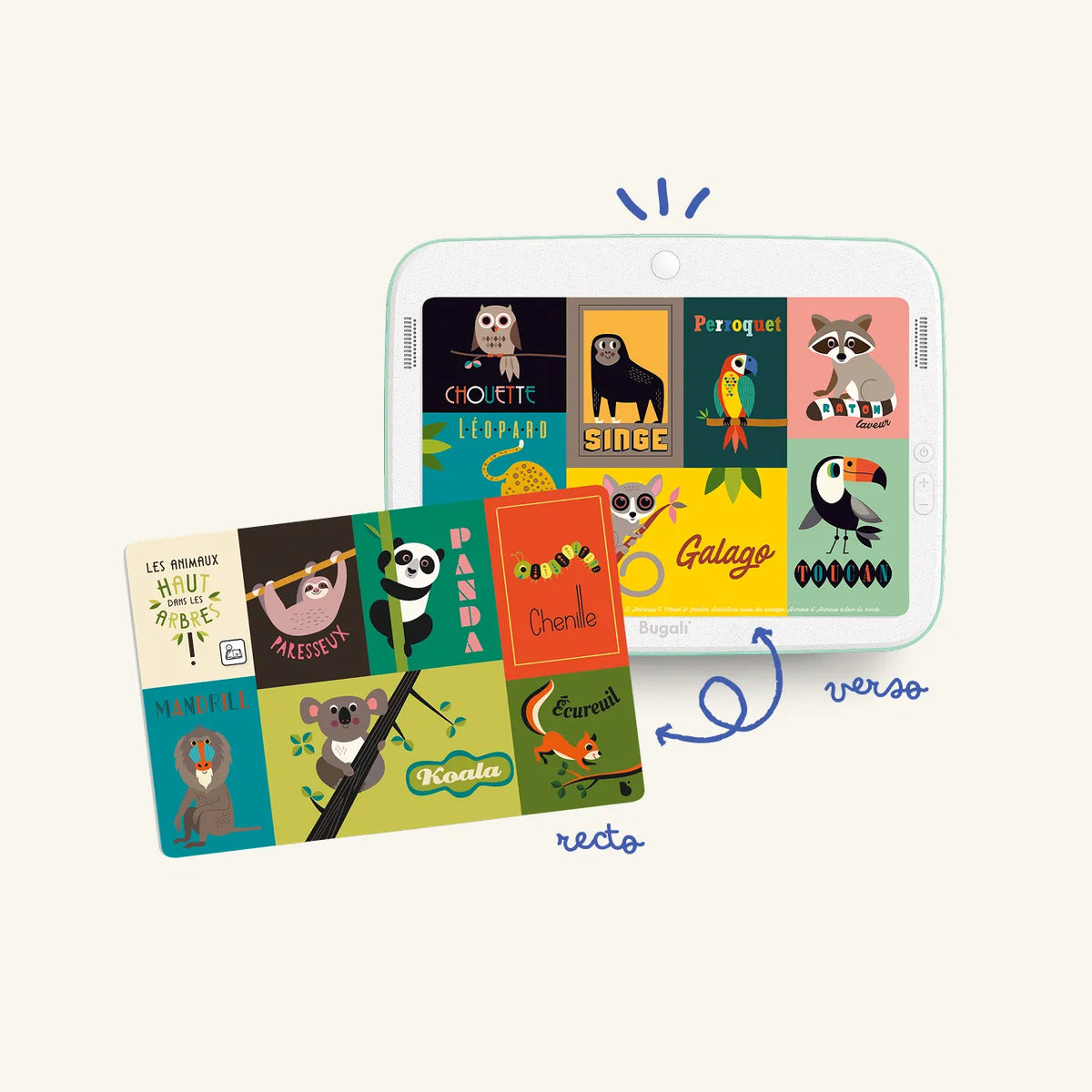 Pack Aventurier +3 ans